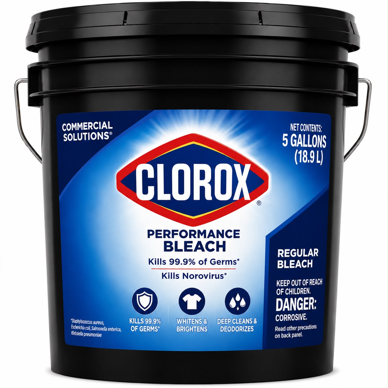 Clorox Bleach